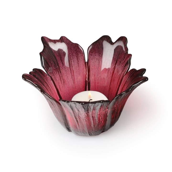 Fleur ljuslykta Ø14 cm, rödrosa Målerås Glasbruk