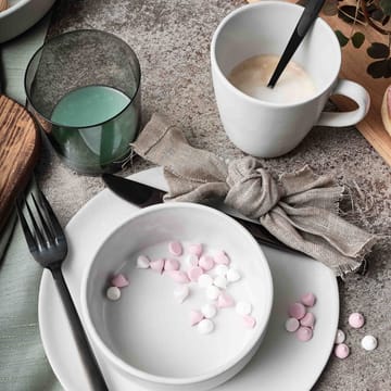 Raw mugg med handtag 35 cl - Arctic white - Aida