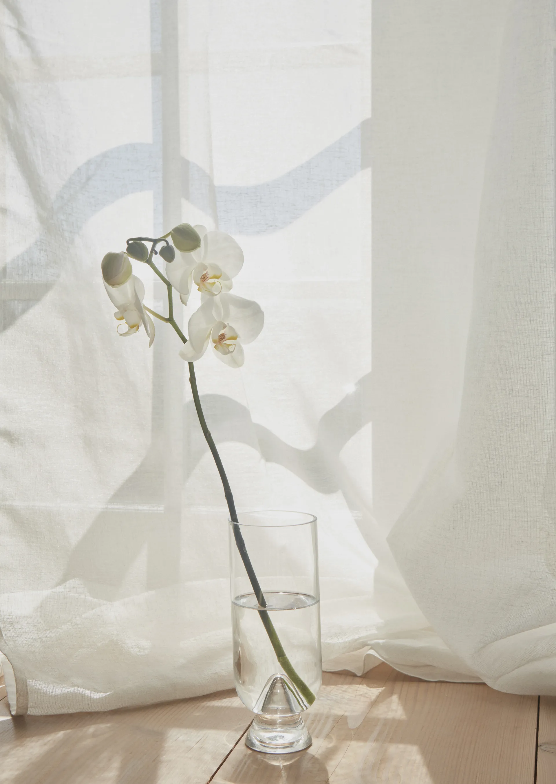 Glacies vas 18 cm, Klar AYTM