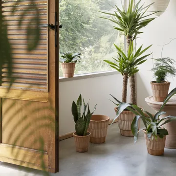 Atlas raw kruka med fat - Rosa, Ø21 cm - Bergs Potter