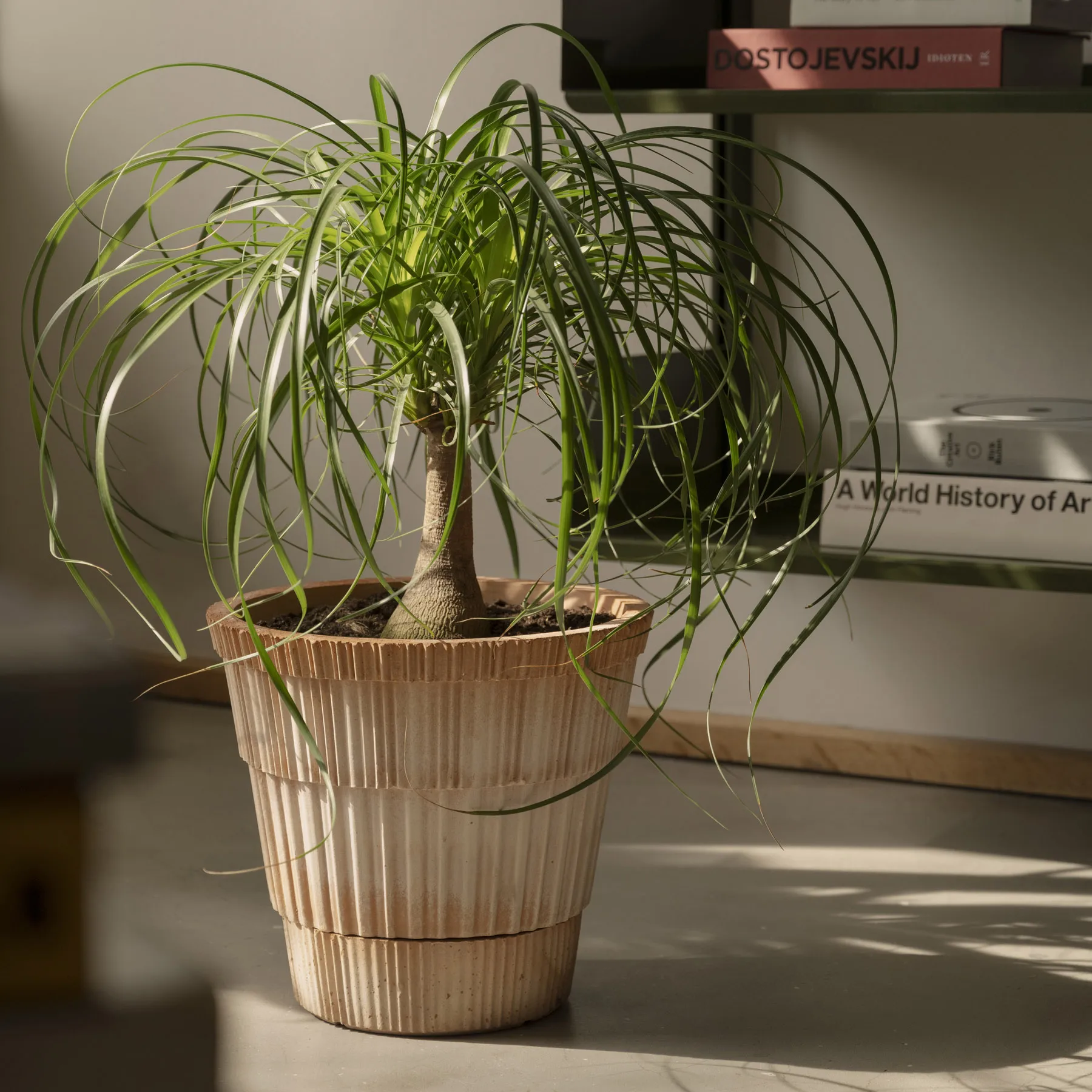 Atlas raw kruka med fat, Rosa, Ø21 cm Bergs Potter