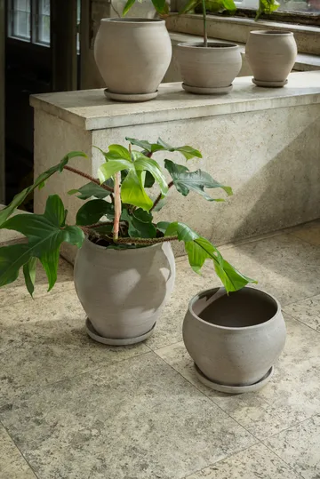 Delphi kruka med fat 2 delar - Grey, Ø22 cm, tall - Bergs Potter