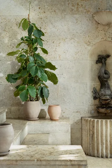 Delphi kruka med fat 2 delar - Grey, Ø22 cm, tall - Bergs Potter