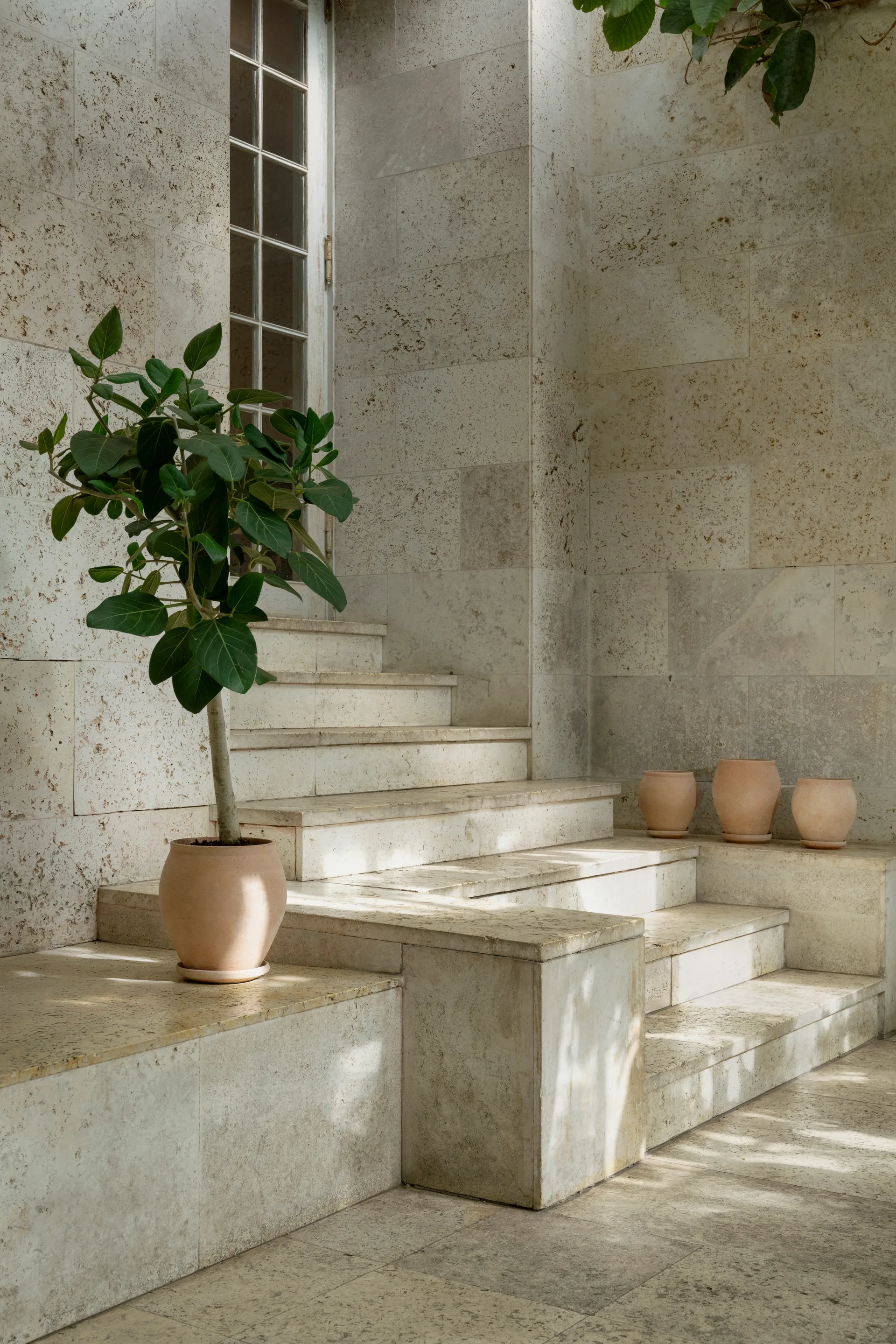 Delphi kruka med fat 2 delar, Rosa, Ø22 cm, tall Bergs Potter