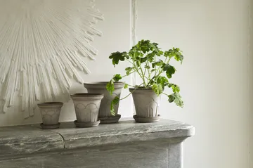 Fleur kruka med fat 2 delar - Grey, Ø12 cm - Bergs Potter