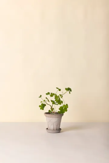 Fleur kruka med fat 2 delar - Grey, Ø16 cm - Bergs Potter