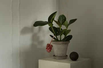 Fleur kruka med fat 2 delar - Grey, Ø18 cm - Bergs Potter