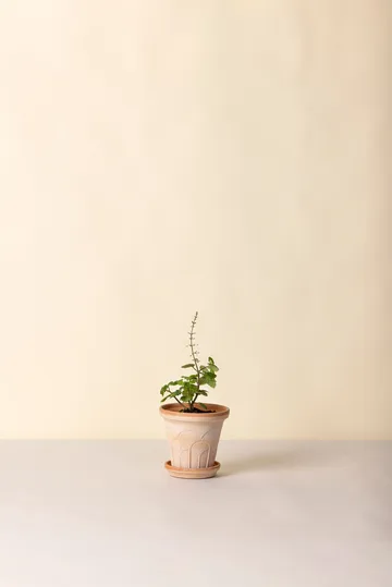 Fleur kruka med fat 2 delar - Rosa, Ø14 m - Bergs Potter