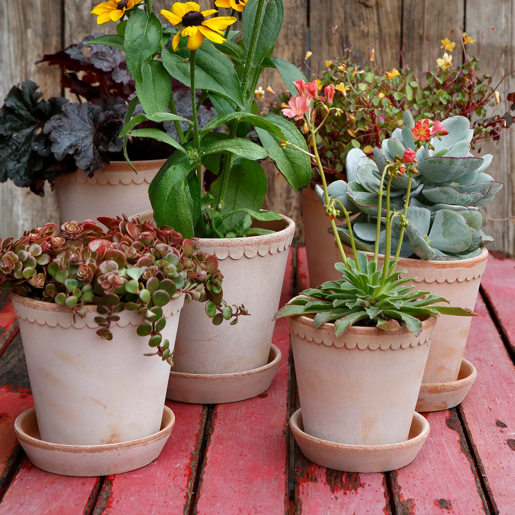 Helena kruka Ø16 cm, Rosa Bergs Potter