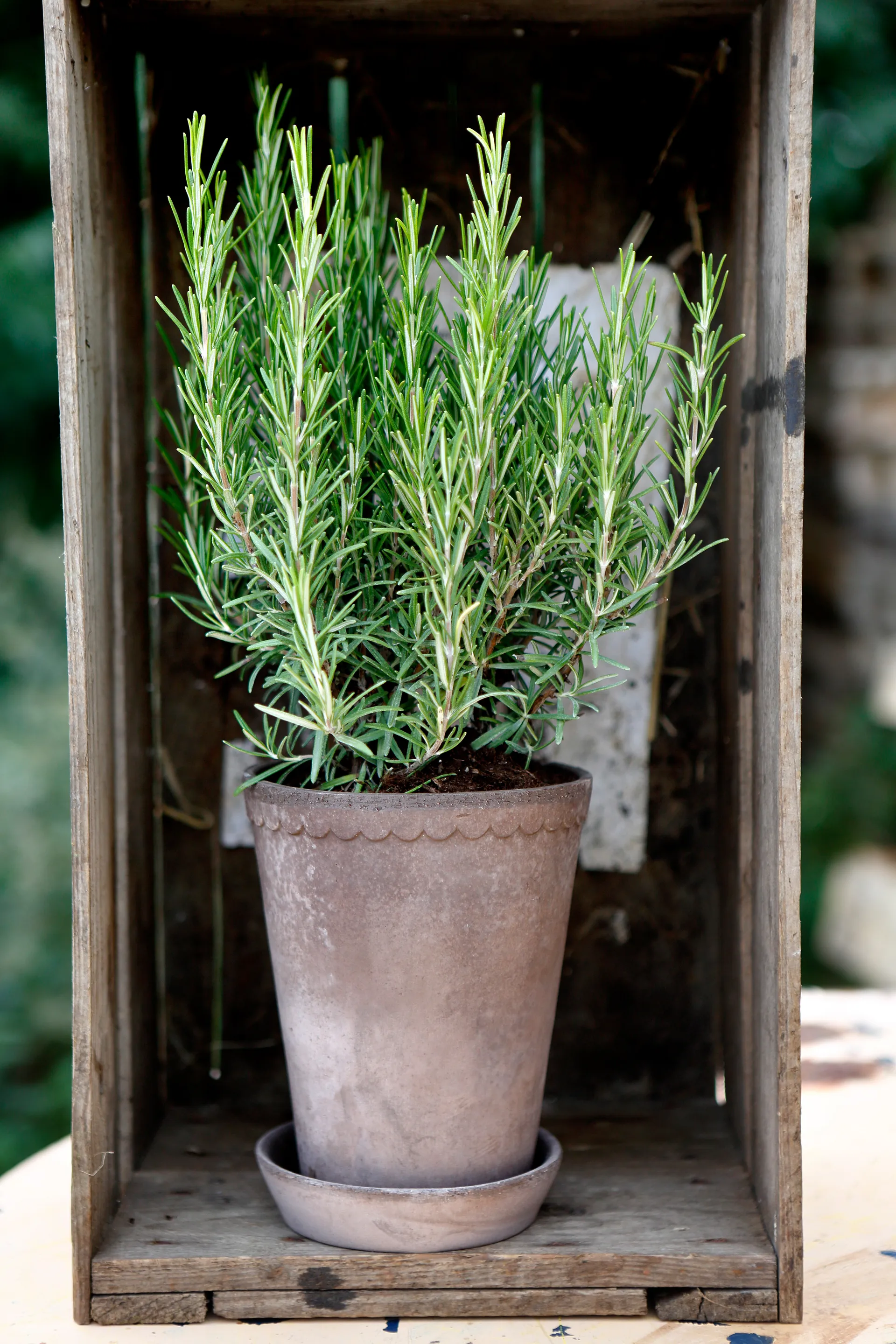 Helena kruka hög Ø14 cm, Grå Bergs Potter