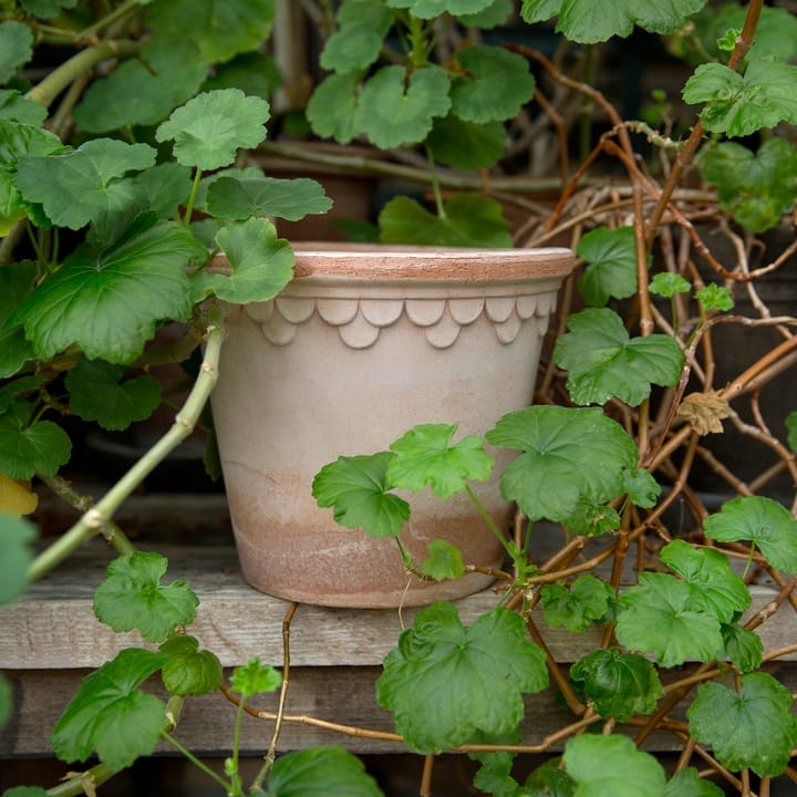 Köpenhamn kruka Ø16 cm, Rosa Bergs Potter