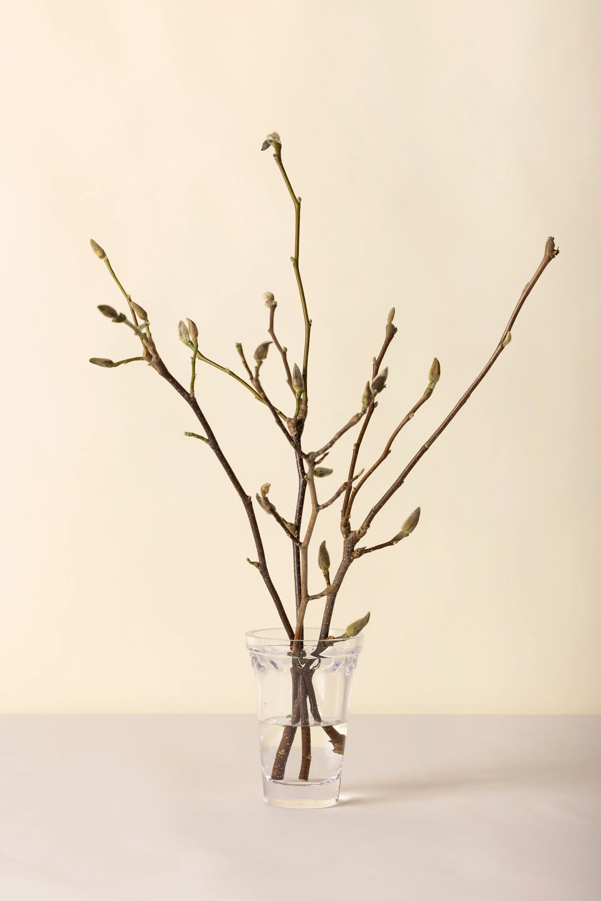 Köpenhamn vas, Klar, 18,5 cm Bergs Potter