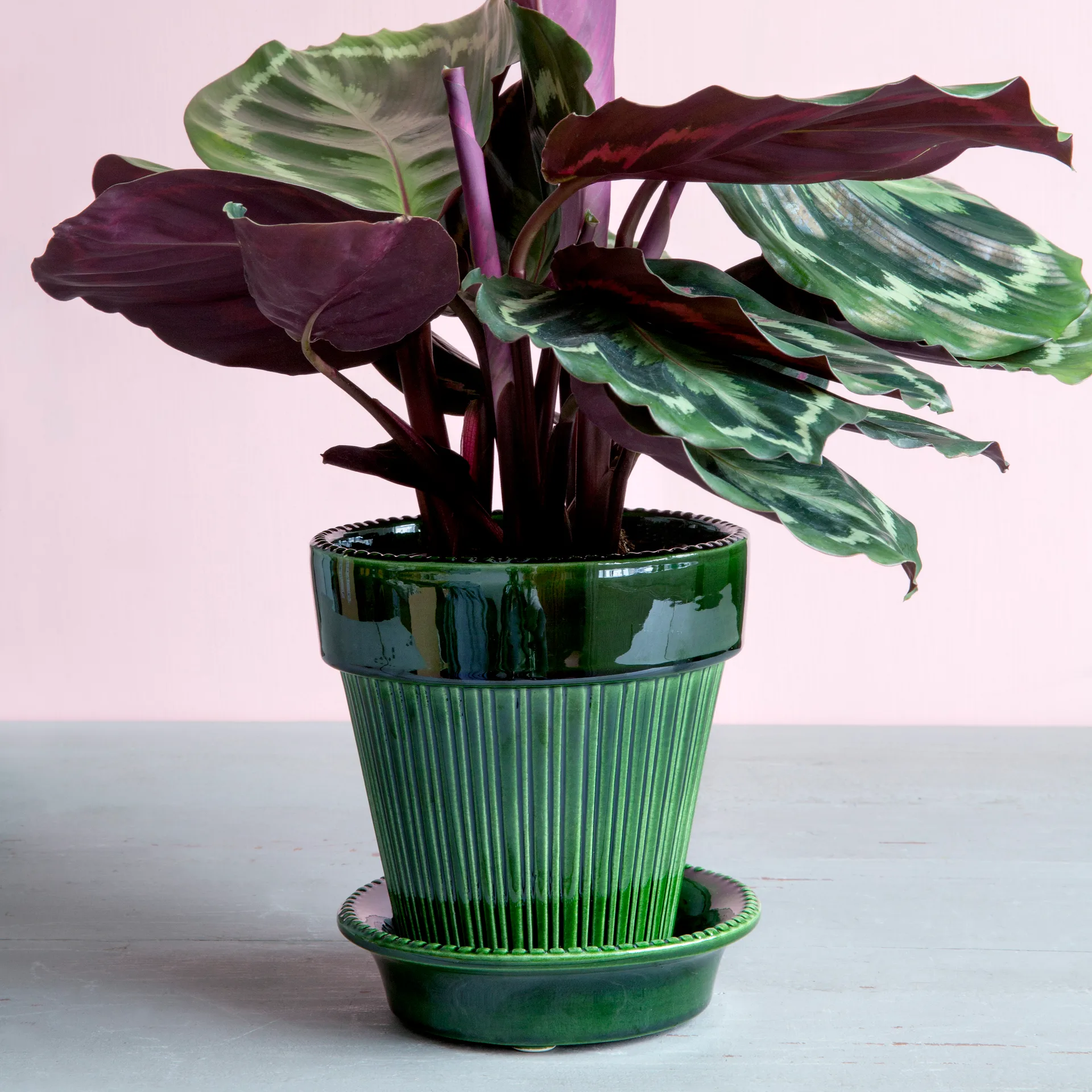 Simona kruka glaserad Ø16 cm, Grön Bergs Potter