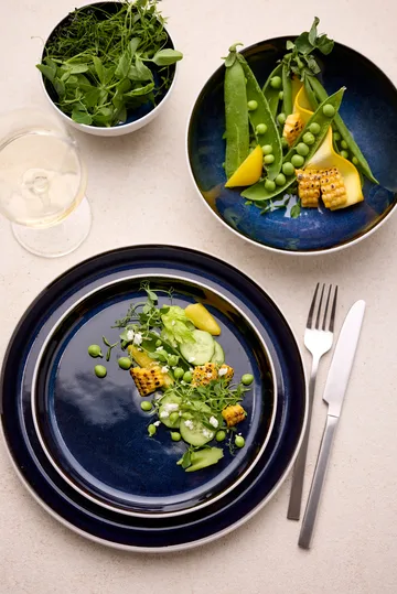 Bitz skål gastro Ø12 cm - Vit-mörkblå - Bitz