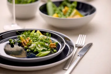 Bitz tallrik gastro Ø 21 cm - Vit-mörkblå - Bitz