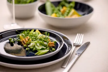 Bitz tallrik gastro Ø27 cm - Vit-mörkblå - Bitz