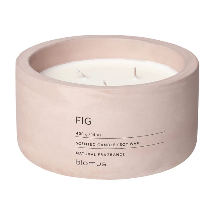 Fraga doftljus 25 timmar, Fig-Rose Dust blomus