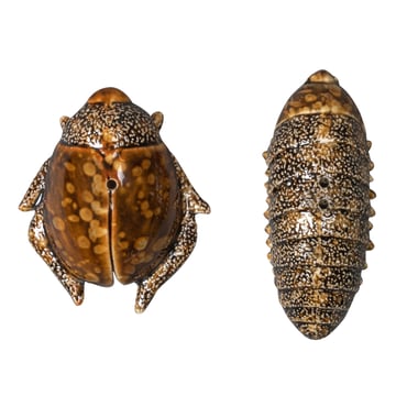 Byon Salt- & pepparkar skalbaggar brun
