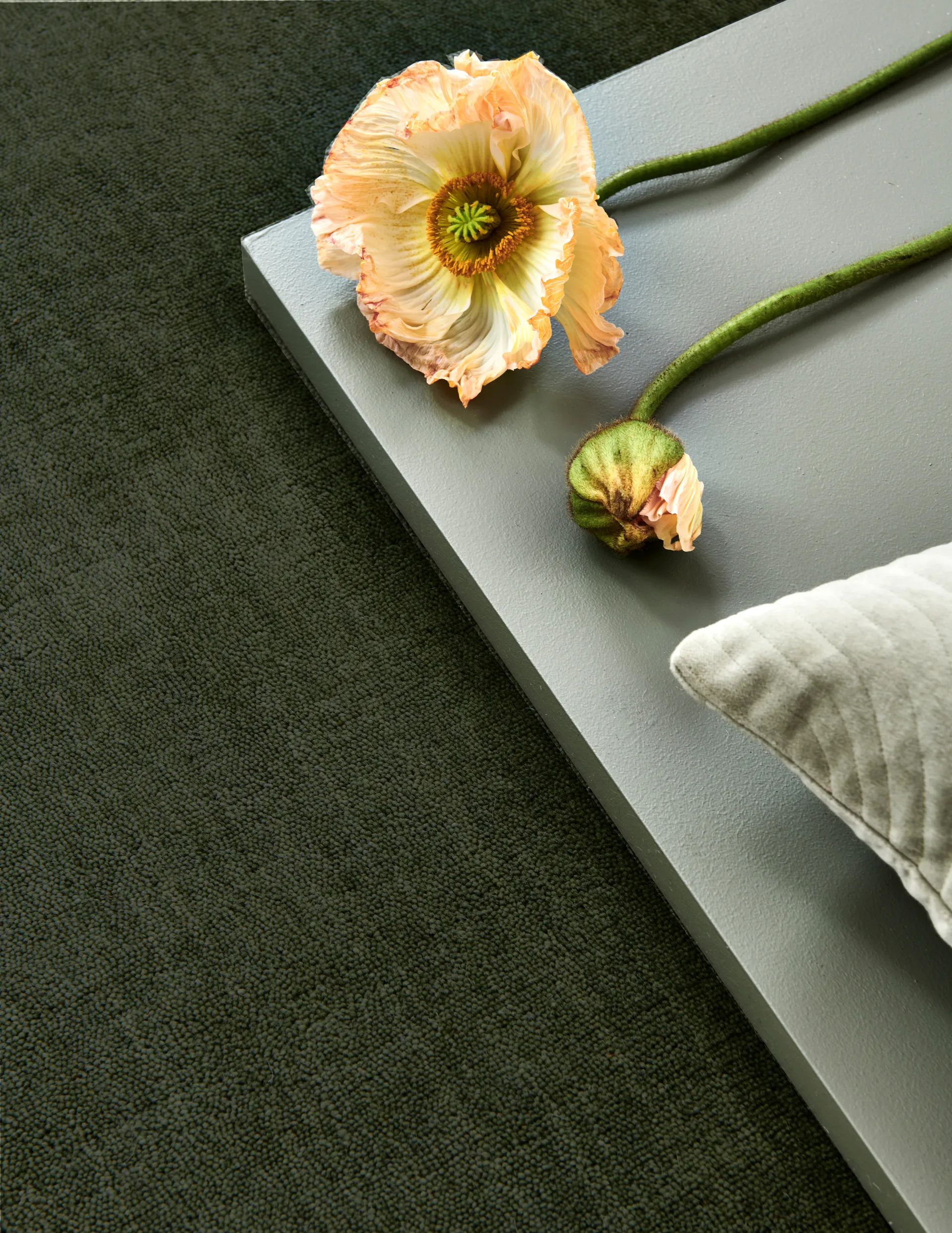 Solid matta, Green, 250x350 cm Classic Collection