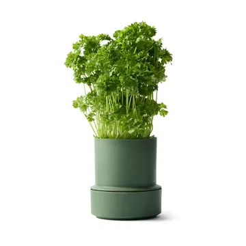 Billund självbevattnande örtkruka - Parsley - Crushgrind