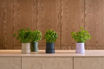 Billund självbevattnande örtkruka - Parsley - Crushgrind
