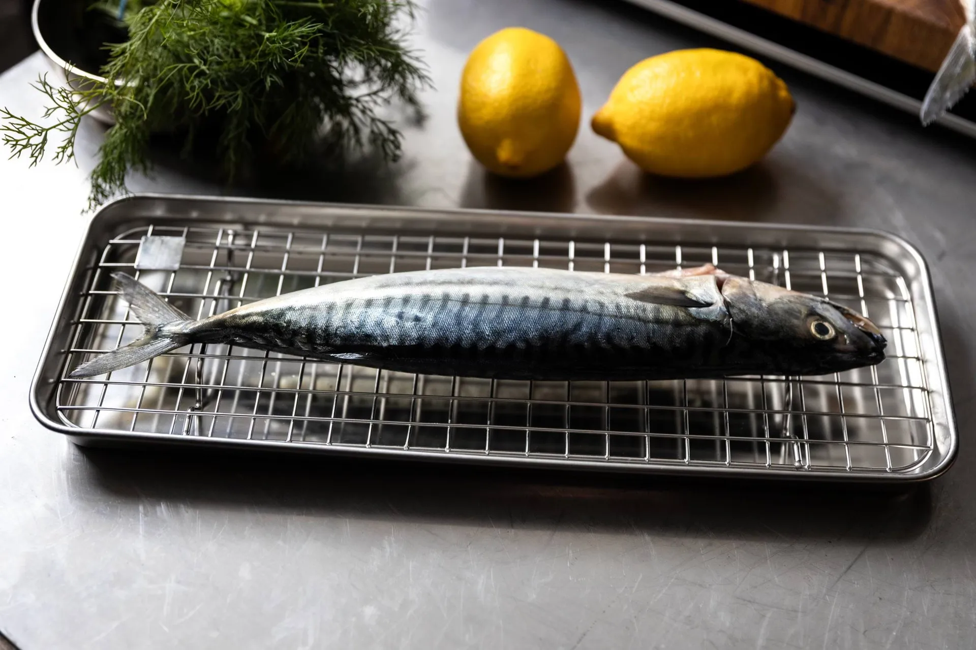 Culimat gastrobleck med avsvalningsgaller, Rostfritt stål, 38x14x2,5 cm Culimat