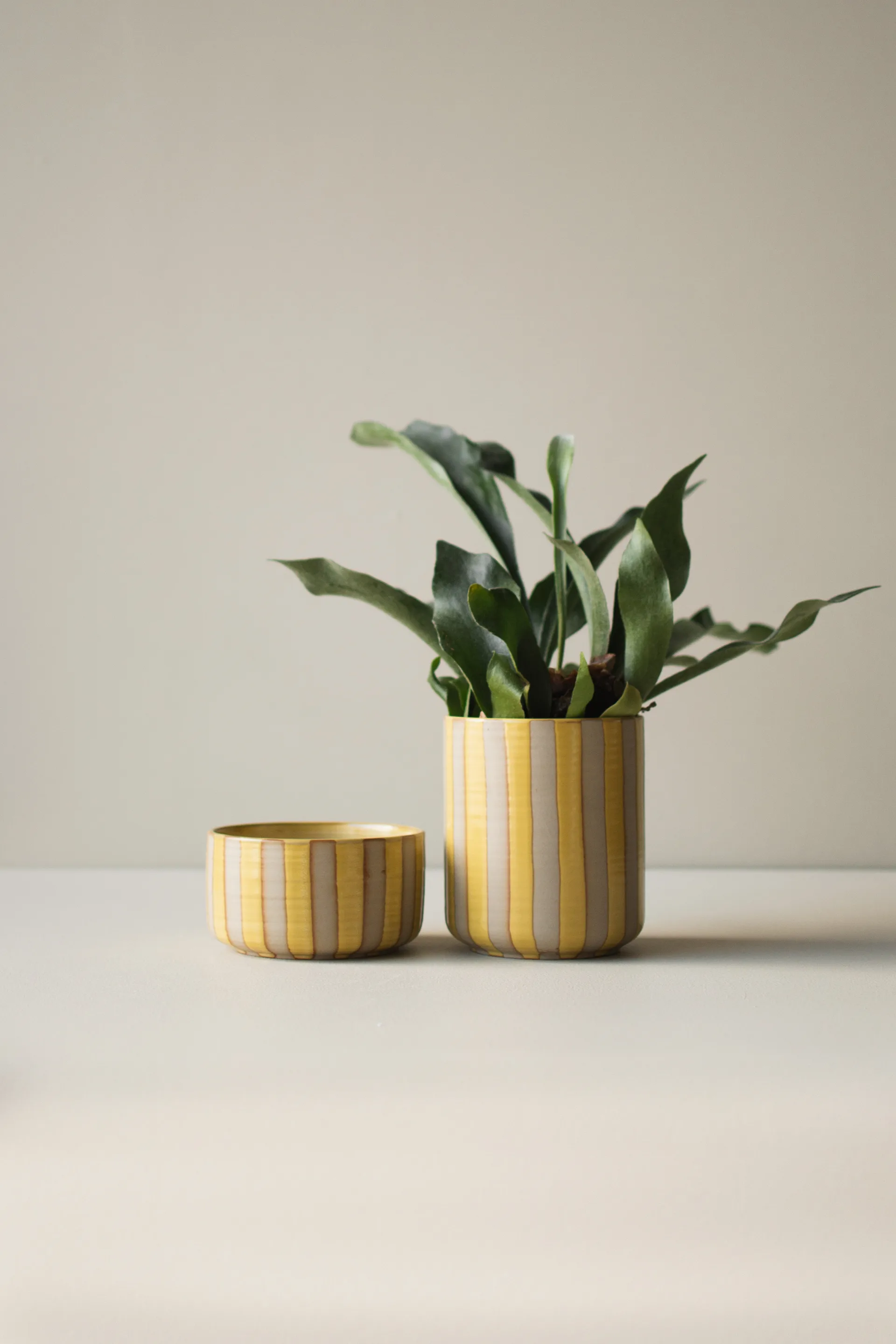 Line kruka Ø14x16 cm, Yellow DBKD