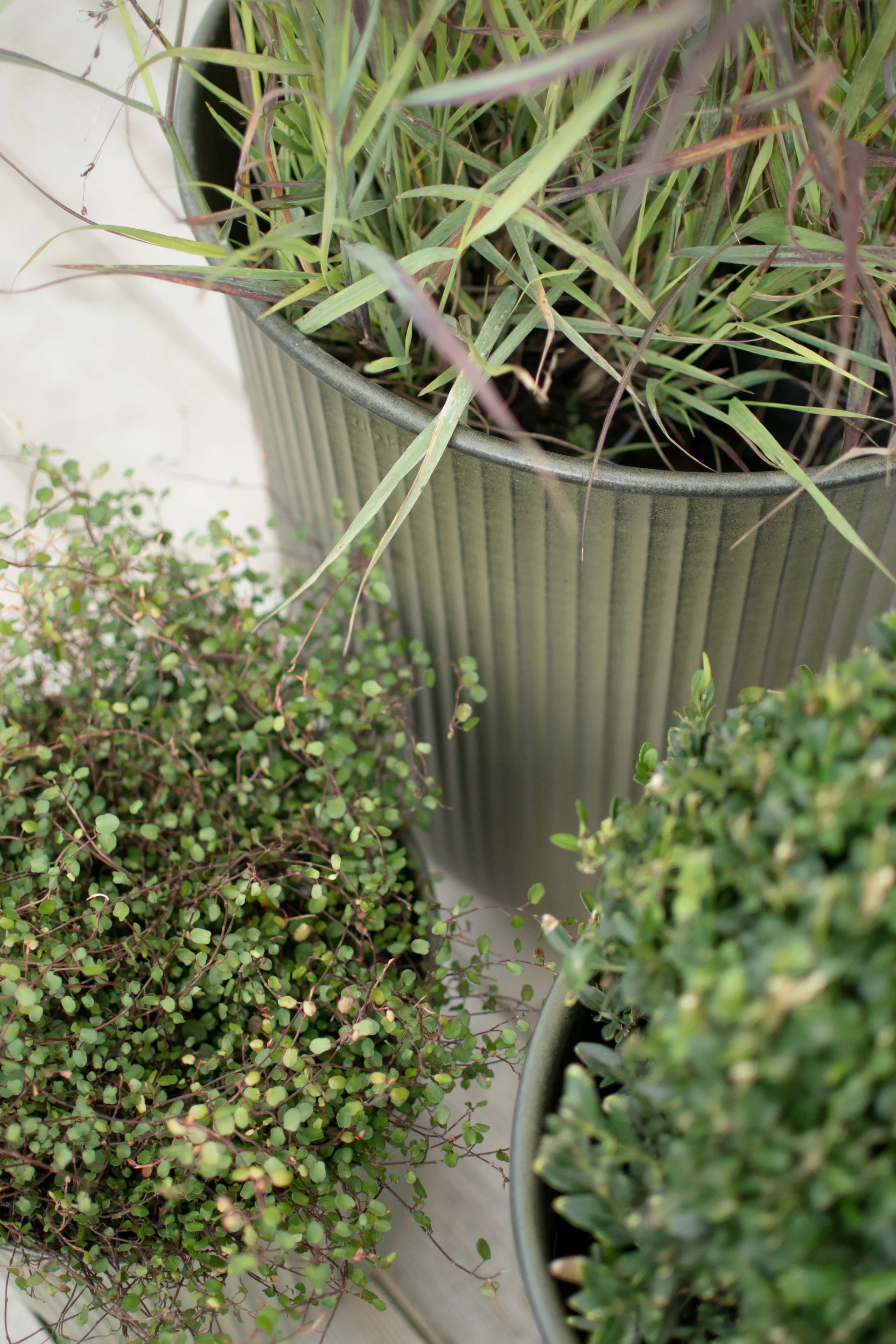 Out stripe kruka 3 delar, Green DBKD