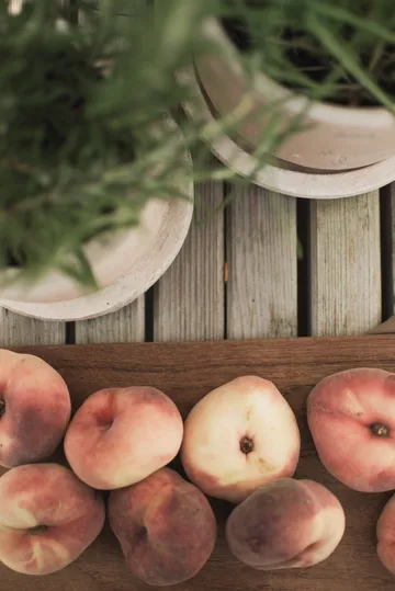 Terra kruka - Sand, Ø16x16 cm - DBKD