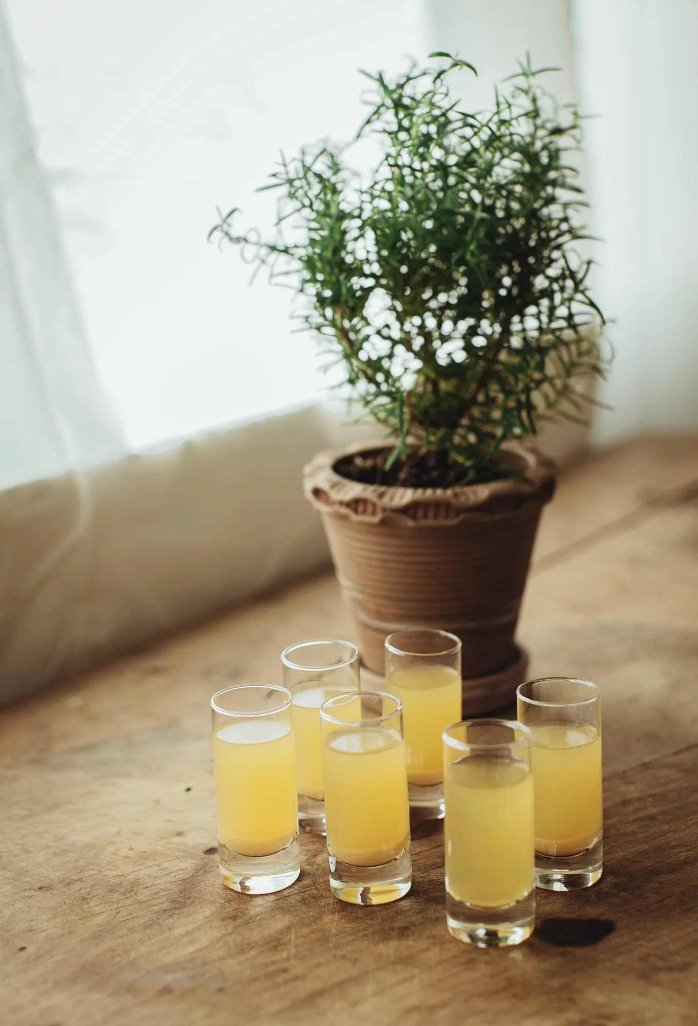 Saba snapsglas, Raka, 6-pack, 6 cl Dorre