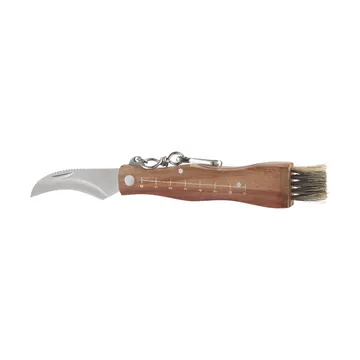 Stuti Svampkniv brun trähandtag med borste 13x2 cm - Rostfritt stål - Dorre