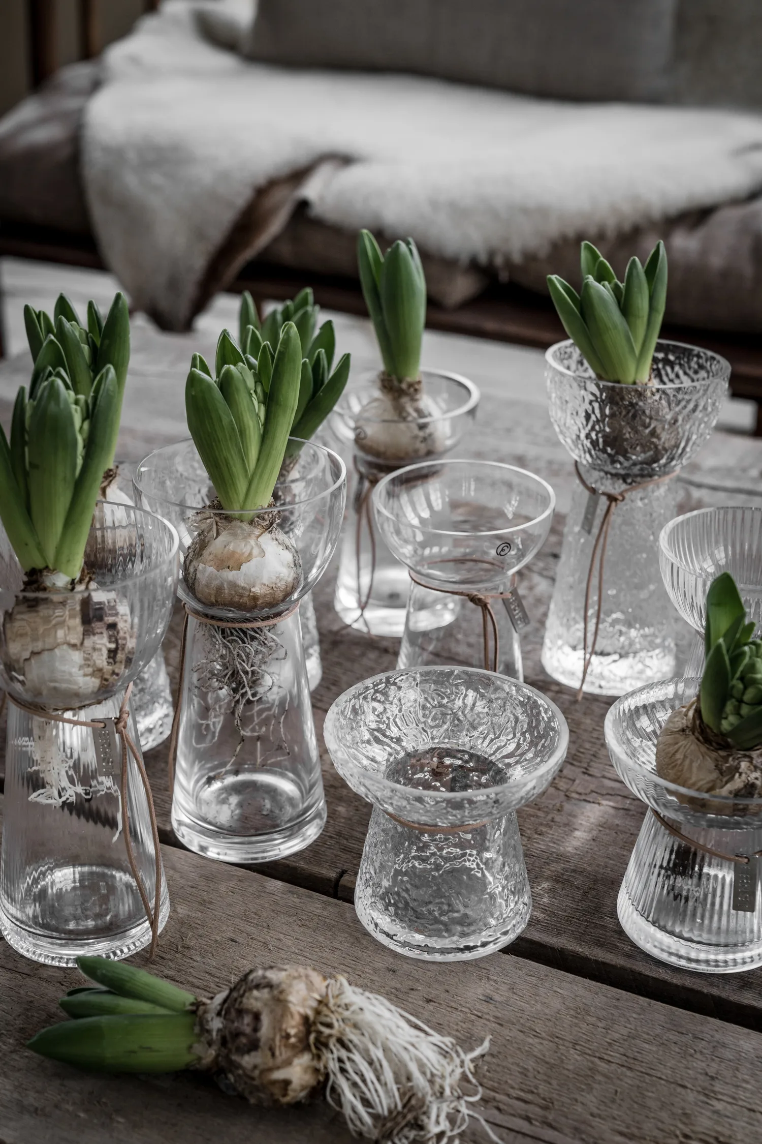 Ernst lökvas randig, 11 cm ERNST