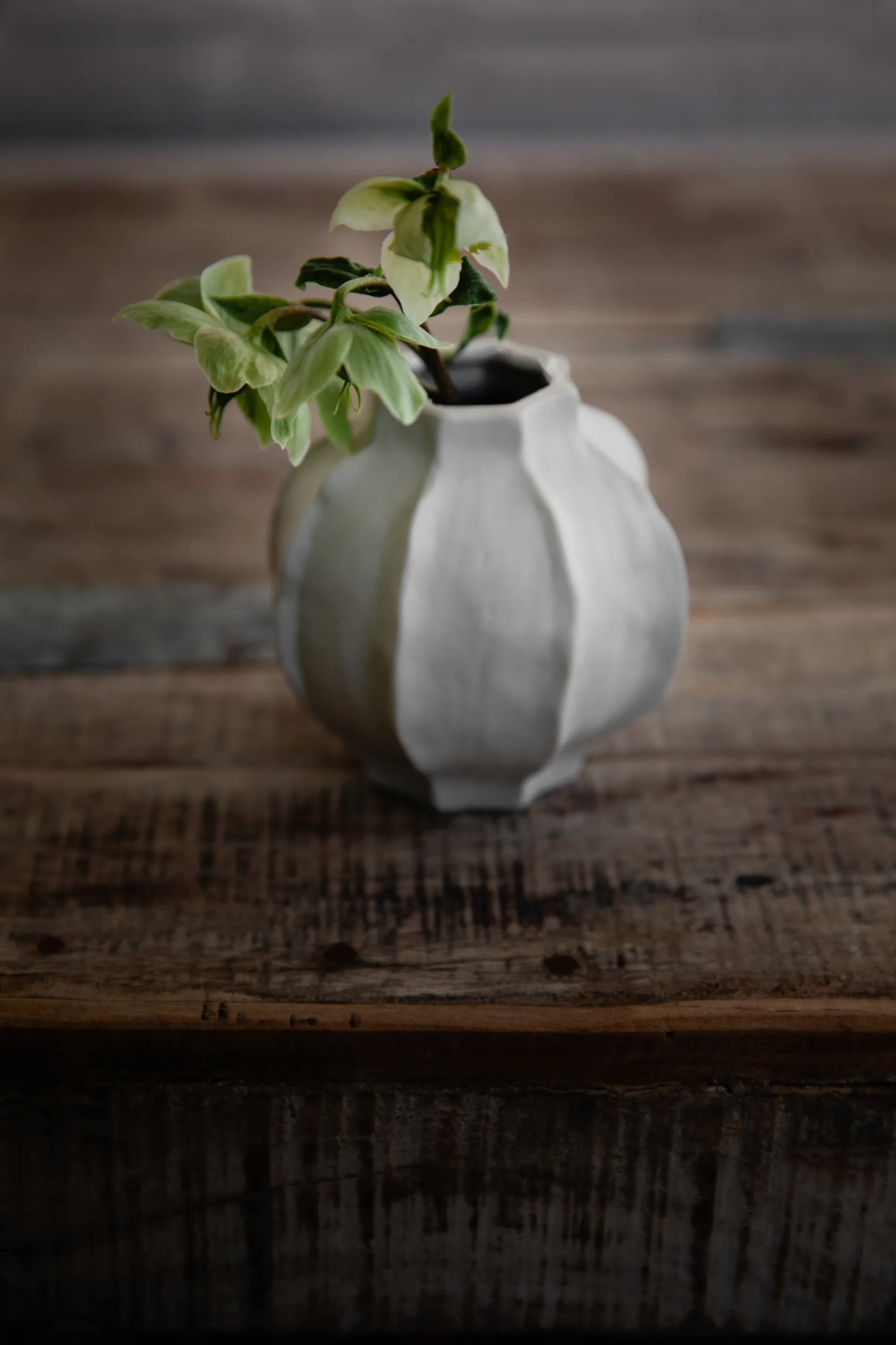 Ernst vas bucklig rand, 10 cm ERNST