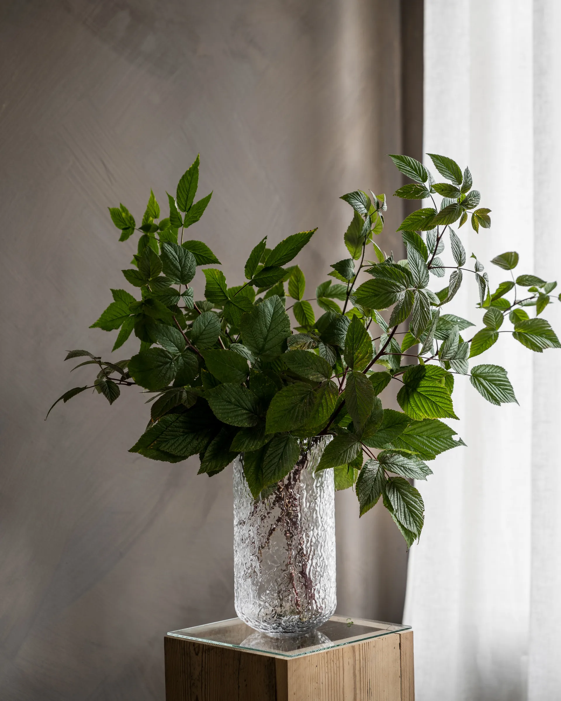 Ernst vas mönstrad 25 cm, Klar ERNST