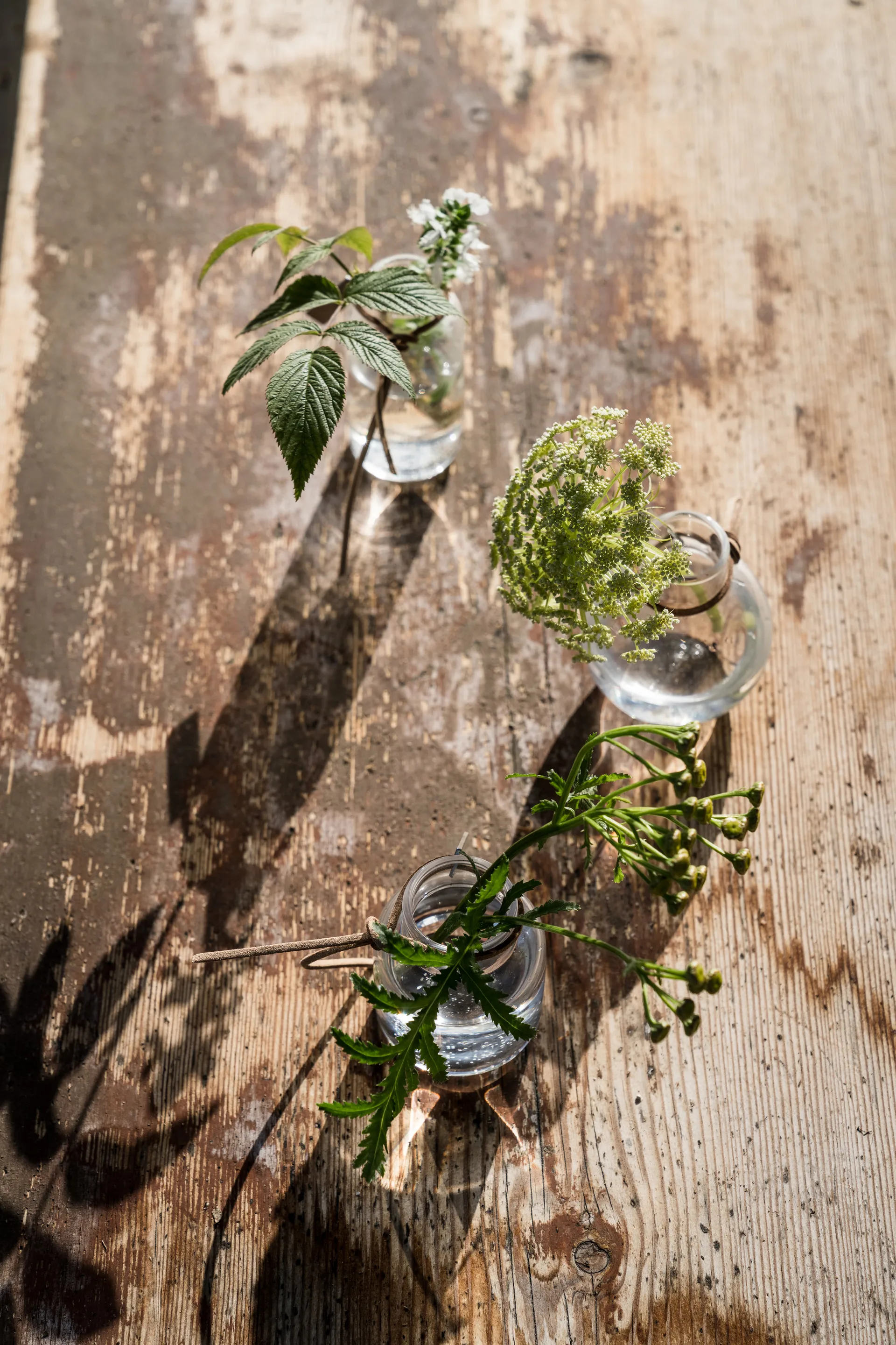 Ernst vas presentförpackning 3 delar, Klar ERNST