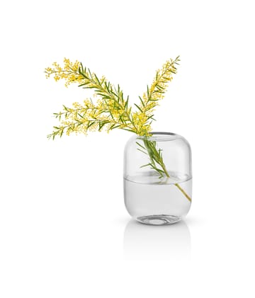 Acorn vas 16,5 cm - Clear - Eva Solo