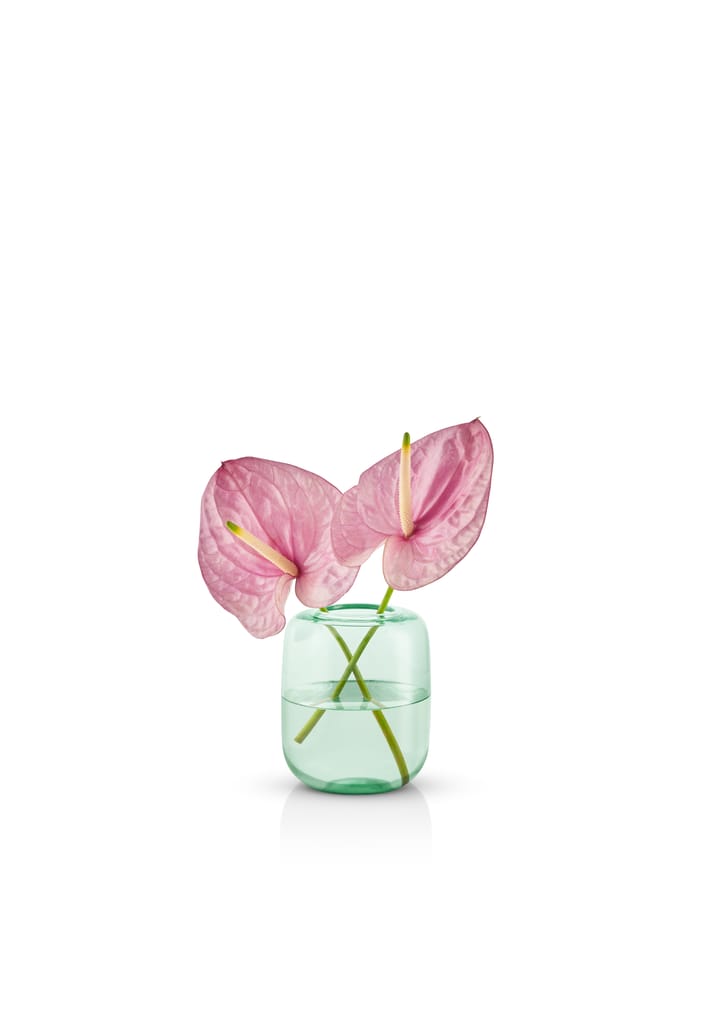 Acorn vas 16,5 cm, Mint green Eva Solo