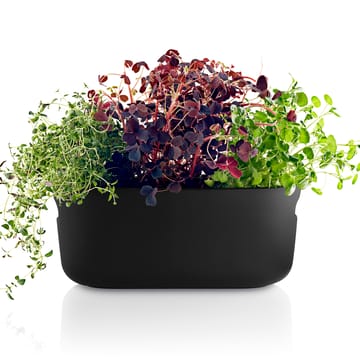 Eva Solo självvattnande herb organiser - Svart - Eva Solo