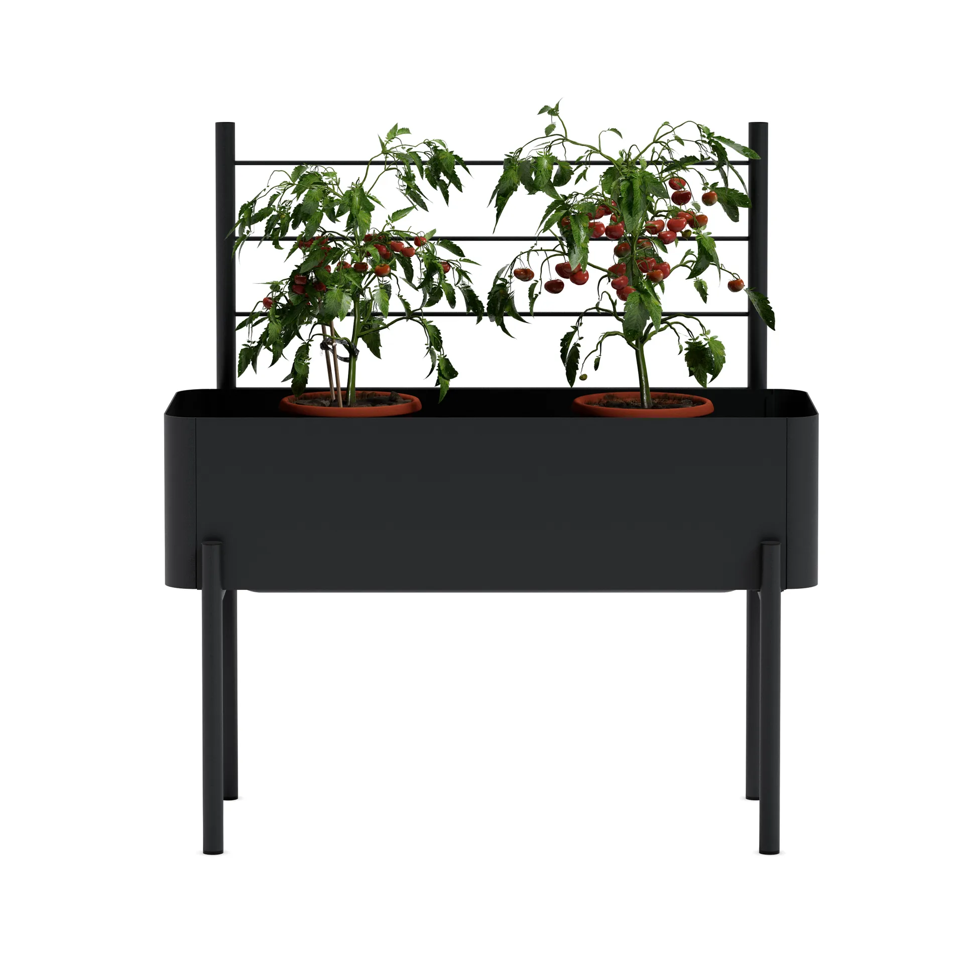 Simply Grow spaljé till odlingslåda, Black Eva Solo