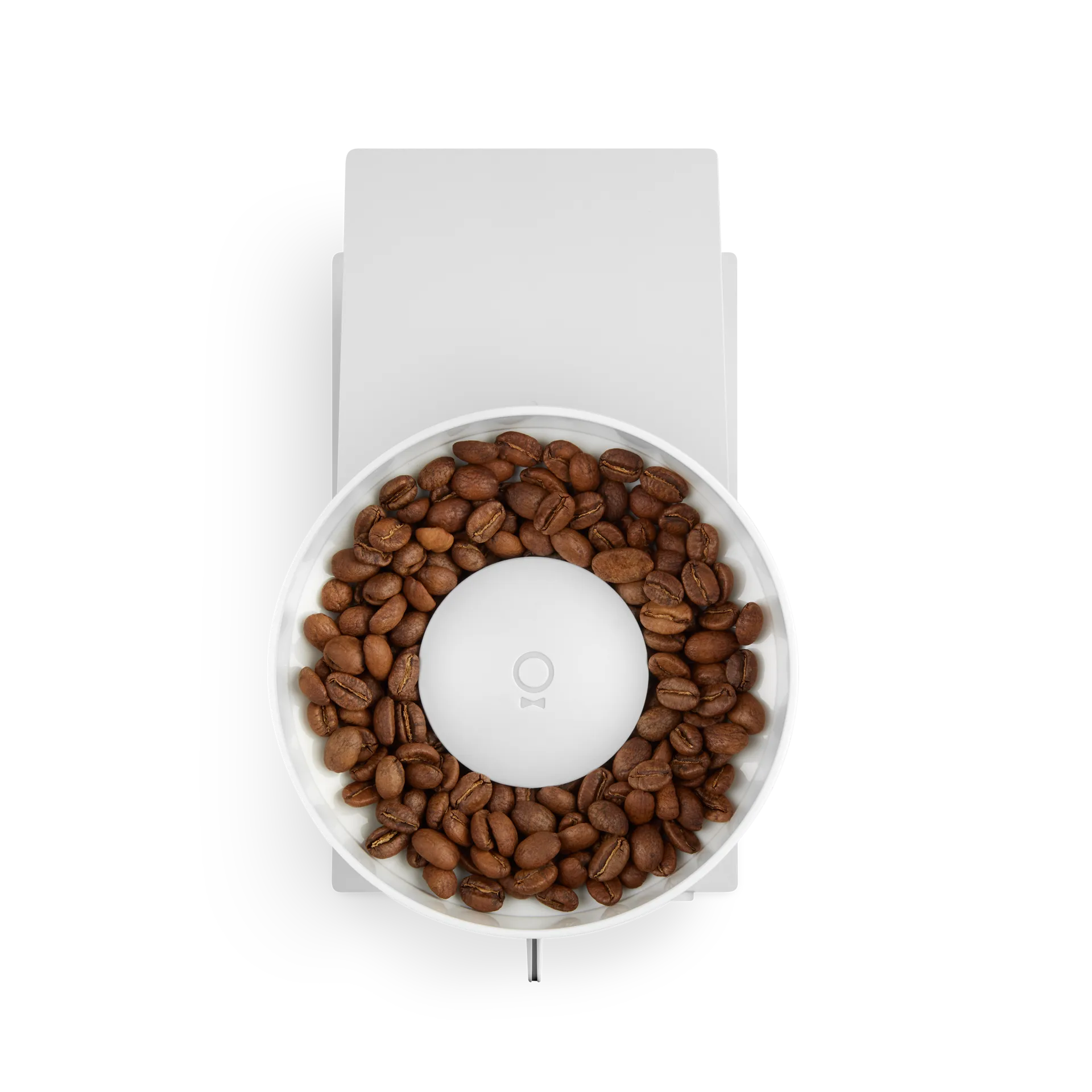 Opus Conical Burr elektrisk kaffekvarn, Matte white Fellow