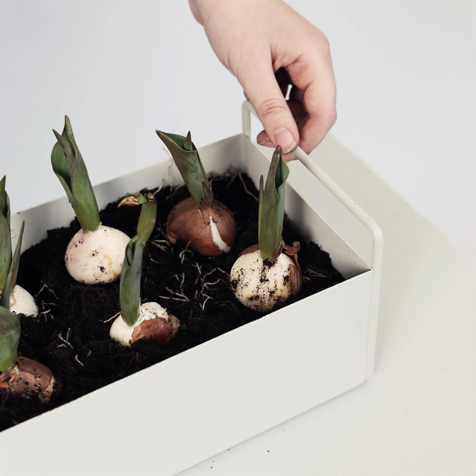 Ferm Living plant box small, ljusgrå Ferm Living