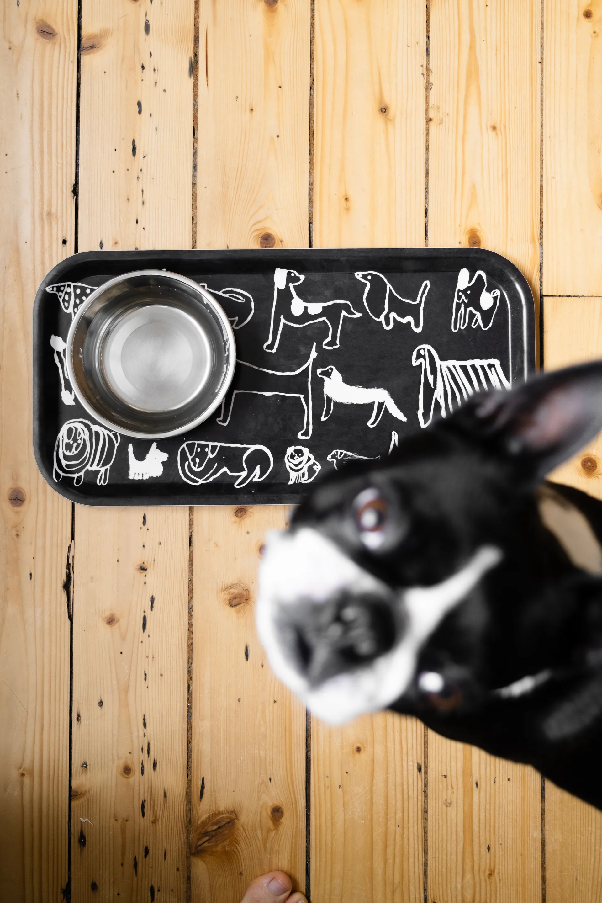Dogs bricka 22x43 cm, Black-white Fine Little Day
