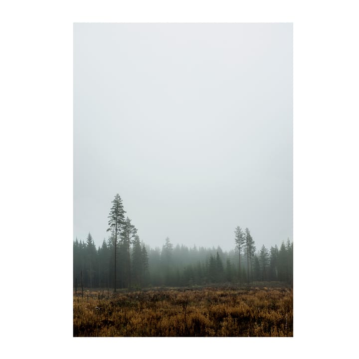 Skog poster, 70 x 100 cm Fine Little Day