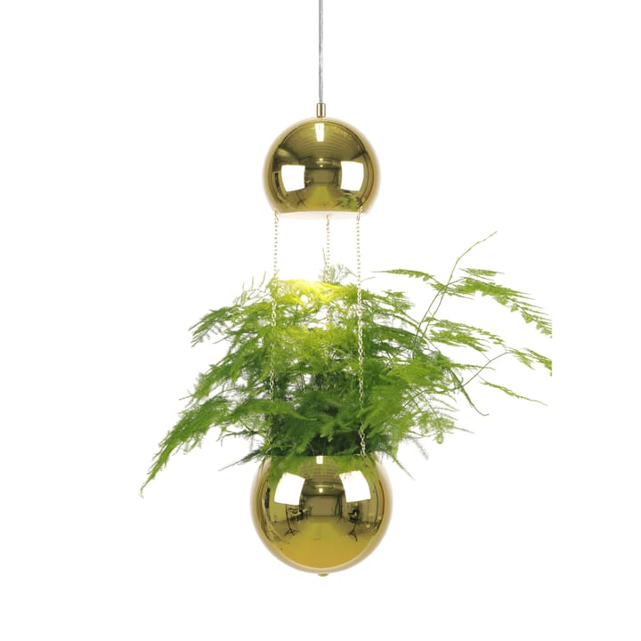 Planter taklampa och ampel, mässing Globen Lighting