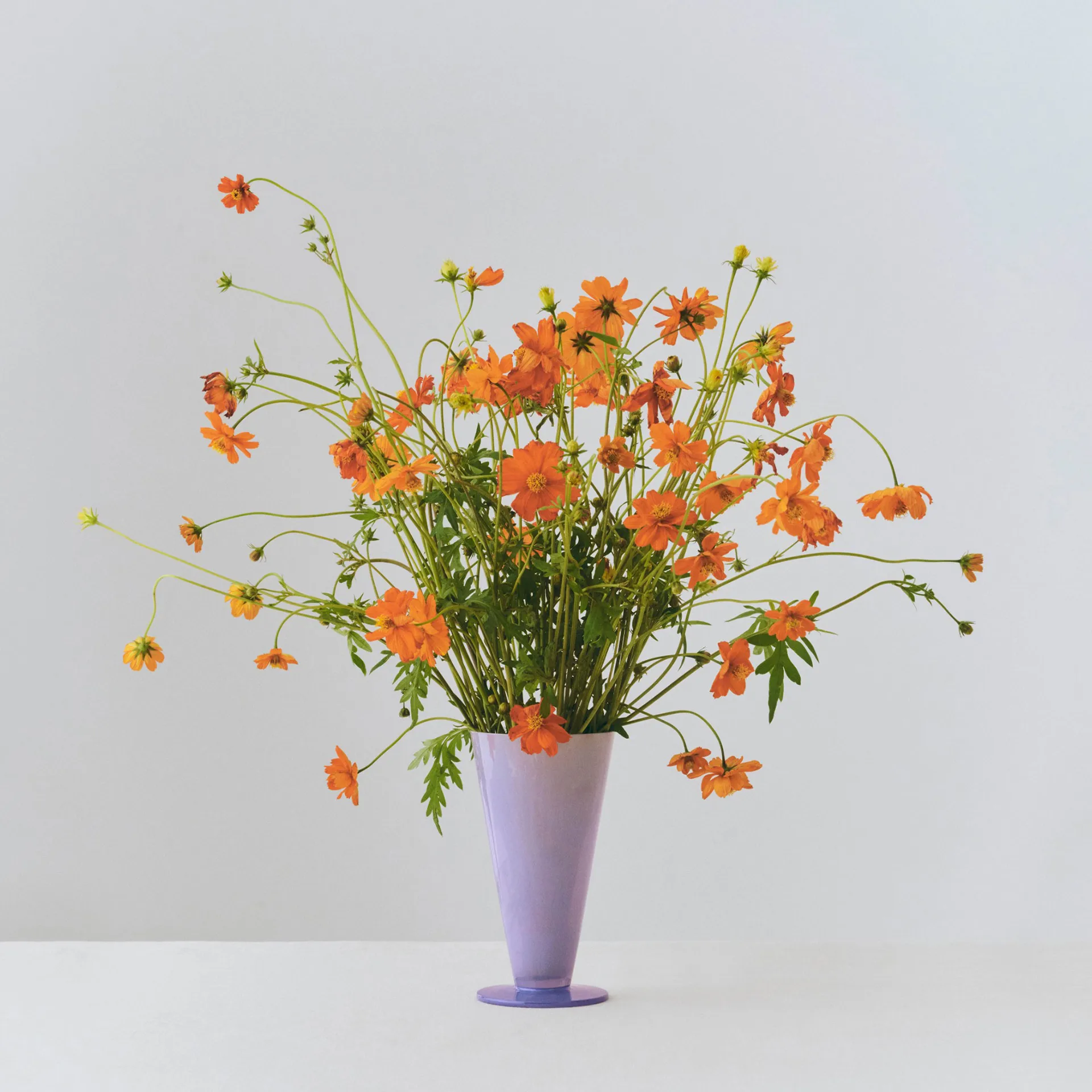 Conical vas, Light blue-lavender blue, small HAY