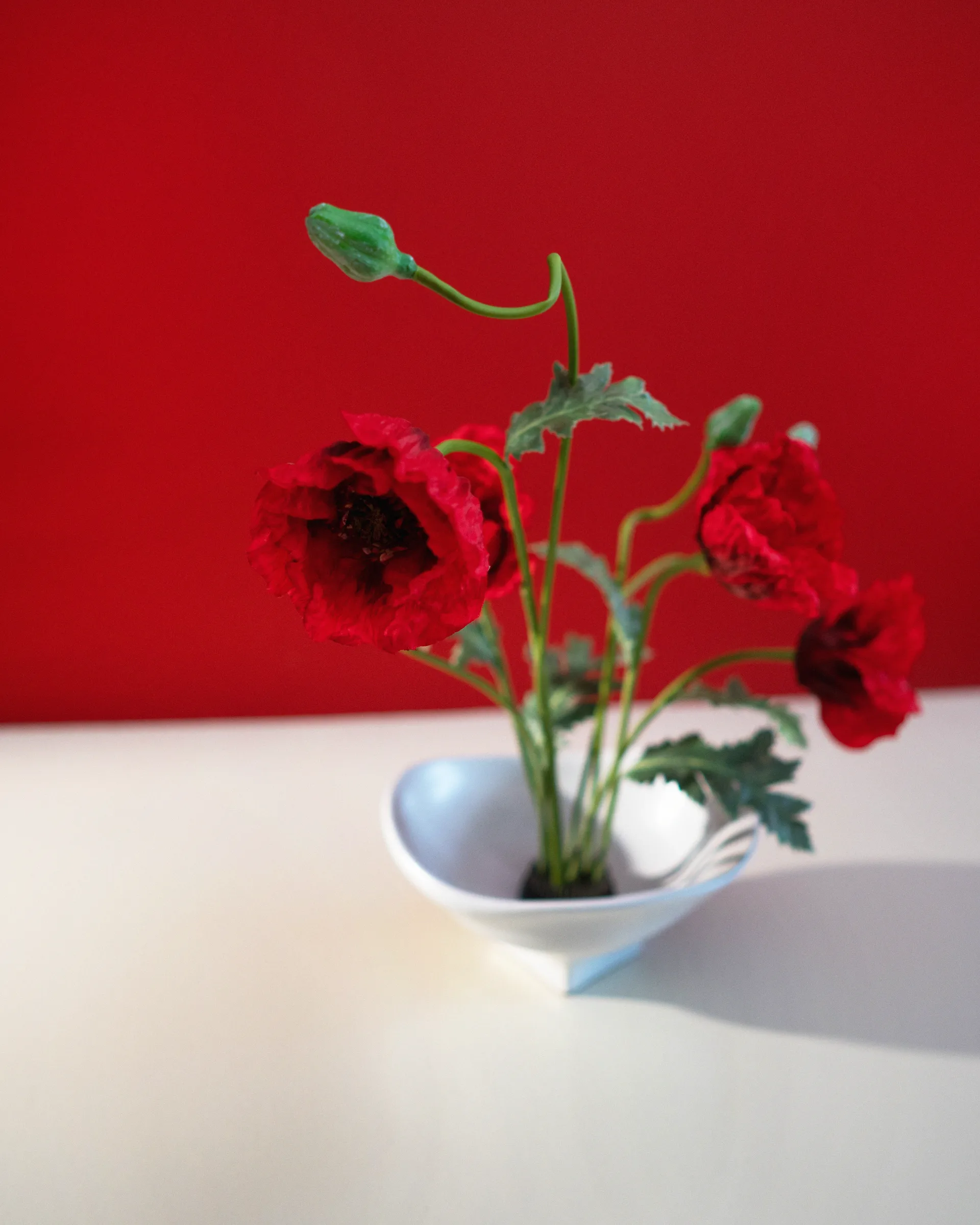 Nami skål large 20x23 cm, White Hein Studio