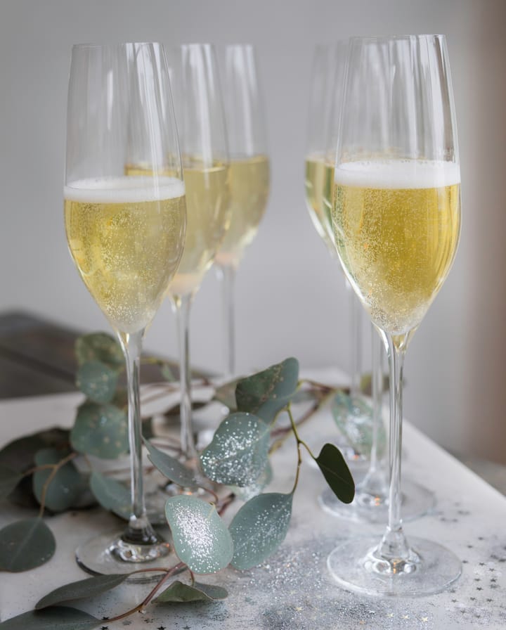 Cabernet champagneglas 29 cl 6-pack, Klar Holmegaard