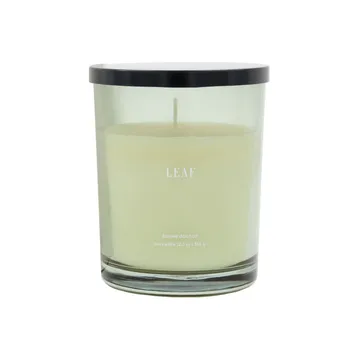 Leaf doftljus 50 timmar - Grön - House Doctor