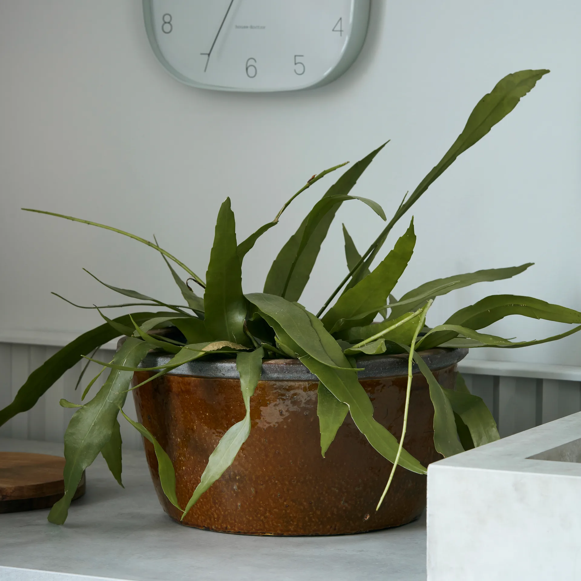 Whai kruka Ø37 cm, Senapsgul House Doctor
