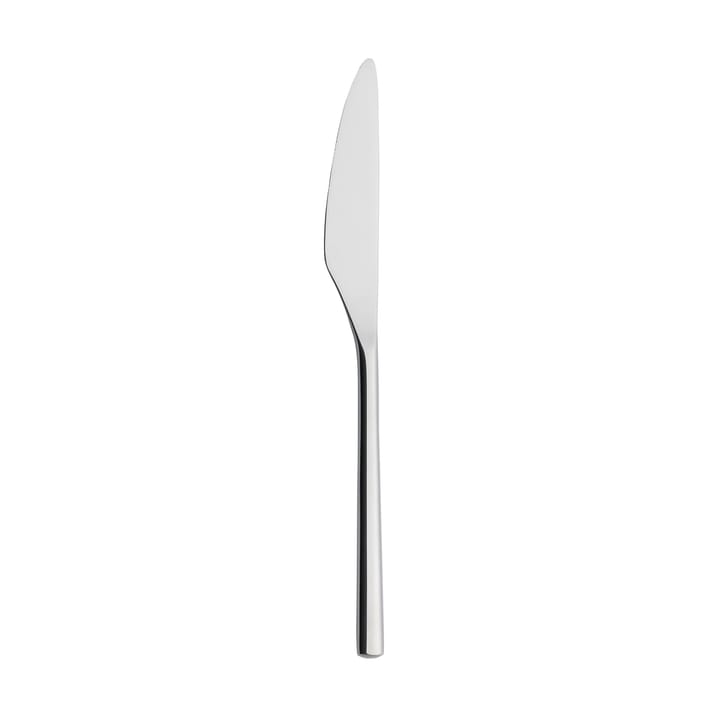 Artik dessertkniv, Rostfritt stål Iittala